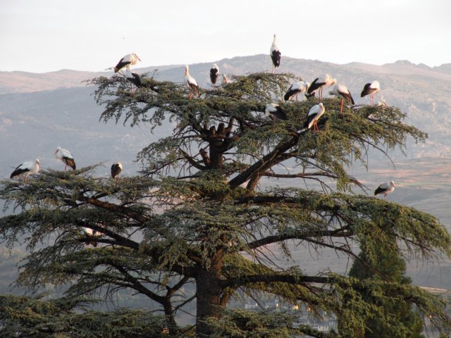 dscn4076.jpg