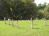 olimpia9_resize_small.jpg