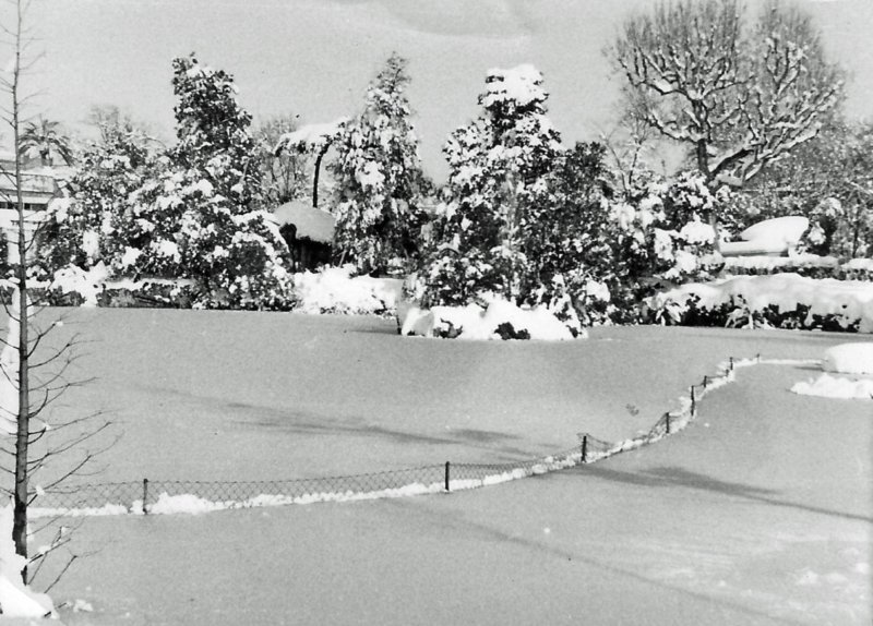 parquedelaciudadelabarcelonadic1962.jpg